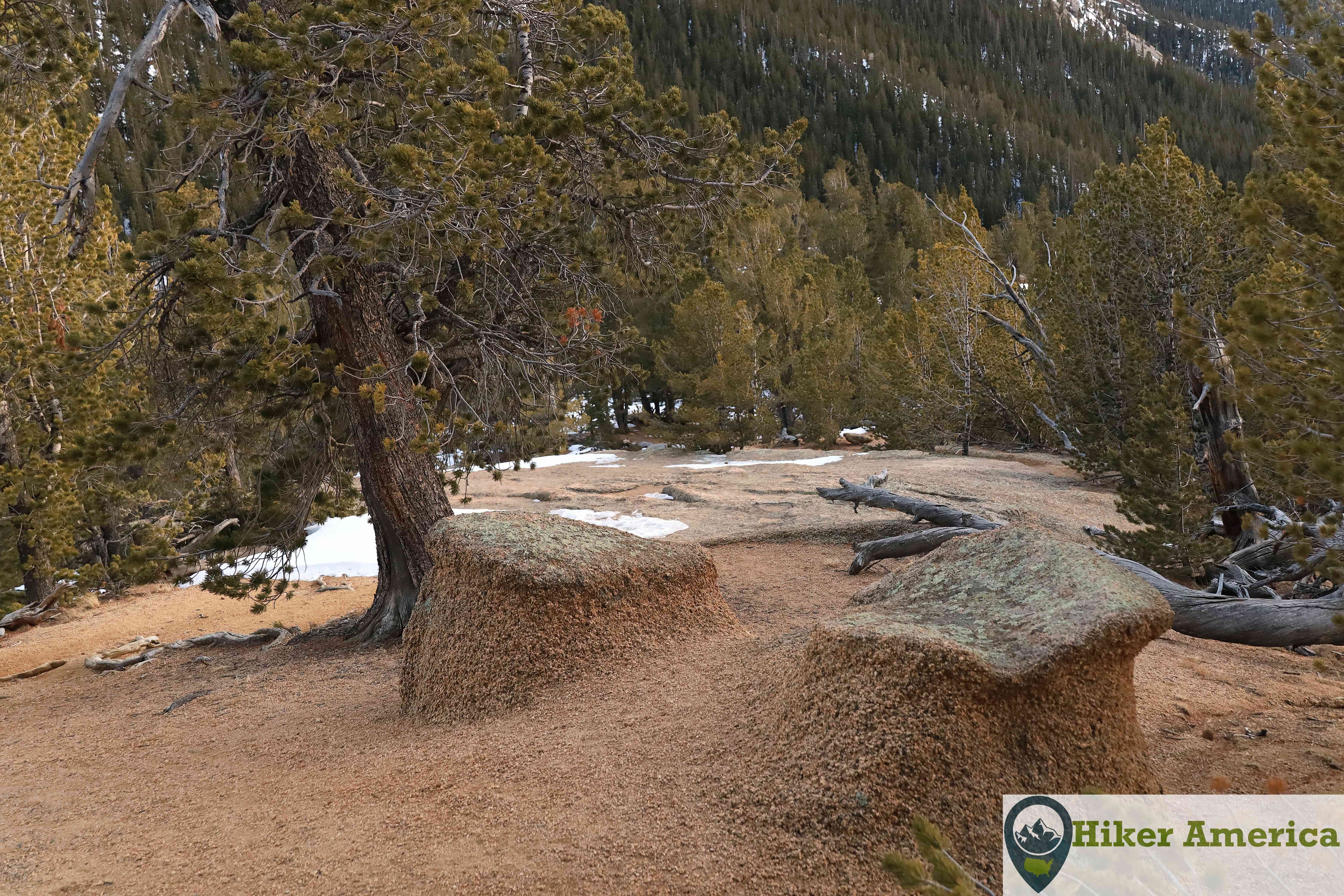 The Crags Trail ascends on the rocks.